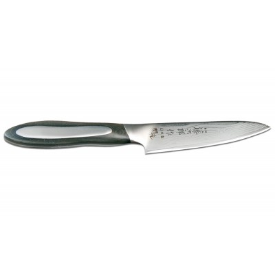 Tojiro FF-PA100