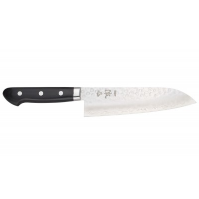 Echizen Ittetsu Sandvik Santoku 170mm Vorderseite